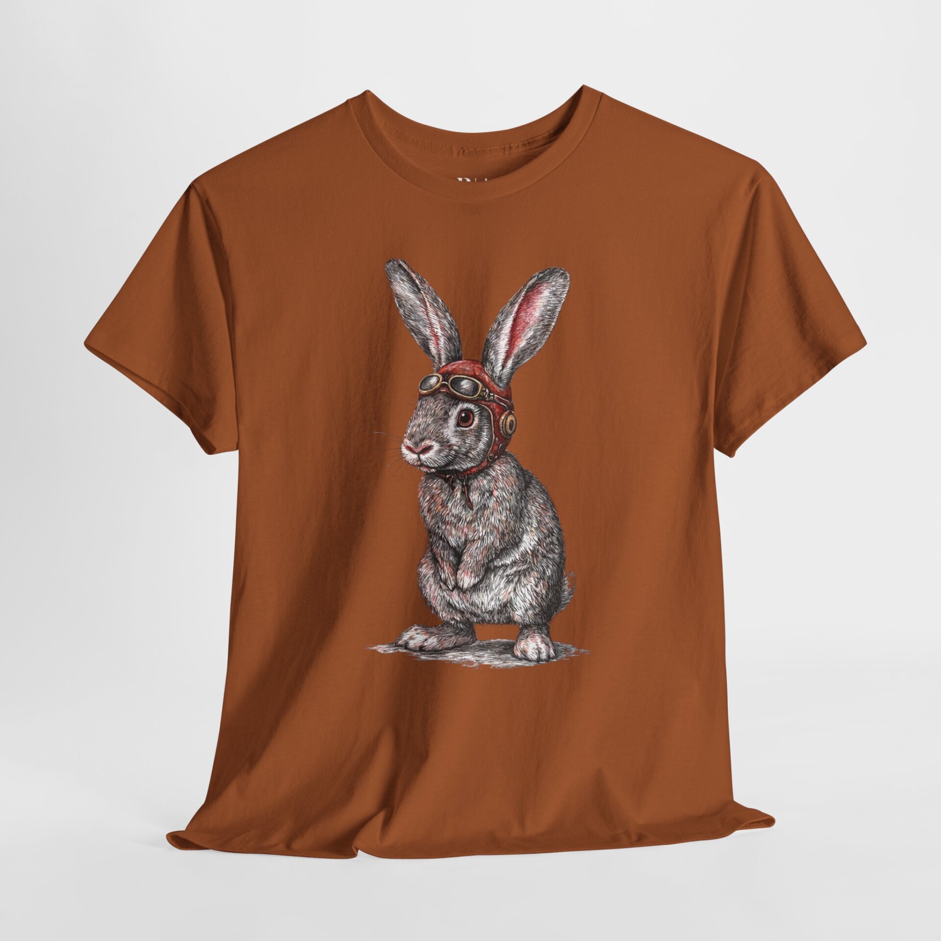 Barnstorming Bunny- Graphic Tee - Image 4