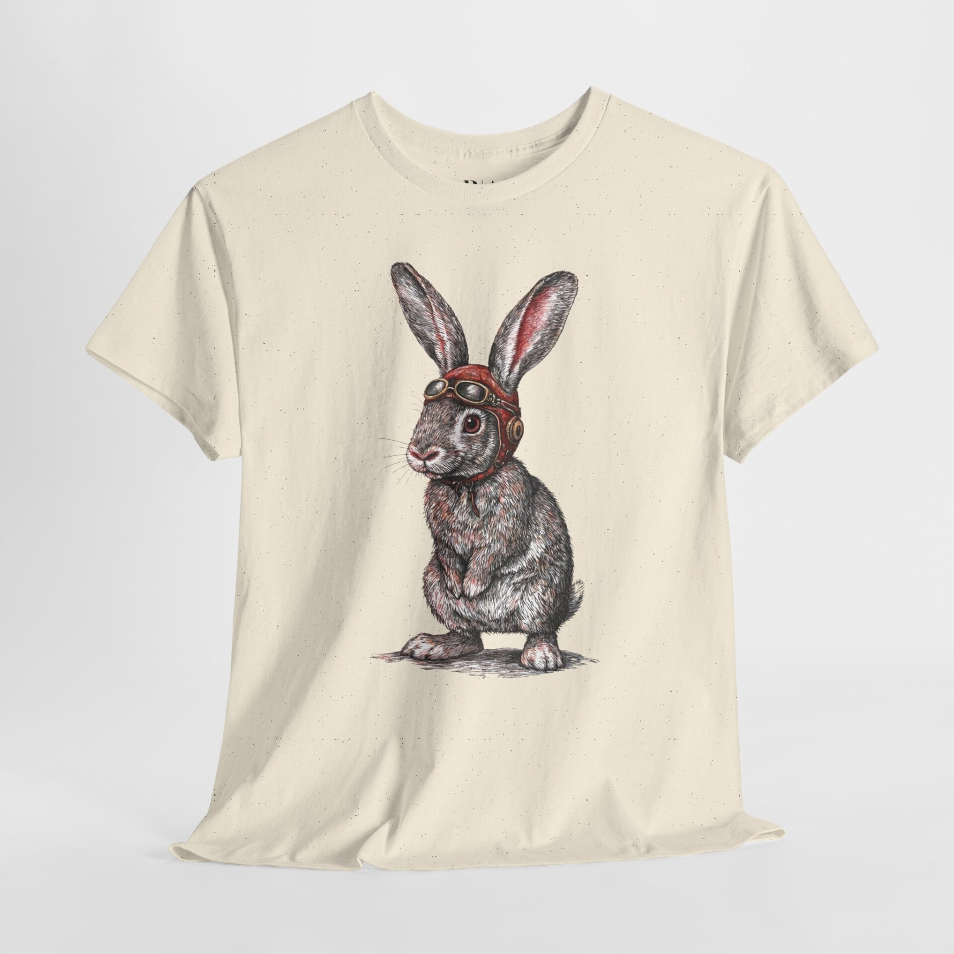 Barnstorming Bunny- Graphic Tee